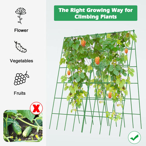 DoCred Cucumber Trellis raised bed setup supports climbing peas.