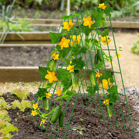 DoCred Cucumber Trellis unfolded frame view highlights sturdy PVC-coated steel.