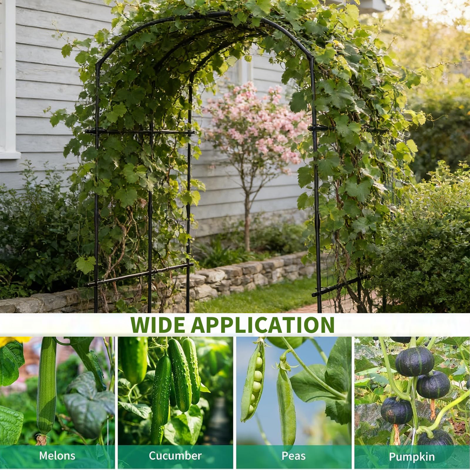 DoCred outdoor arch supports grapes, cucumbers, and flowers.