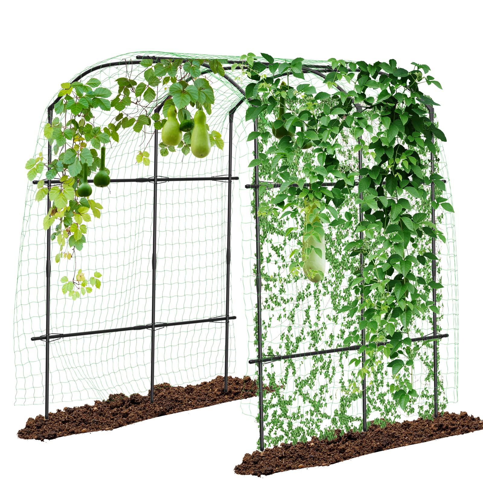 DoCred tall garden arch 87in front view showcases a sturdy entry for climbing plants.