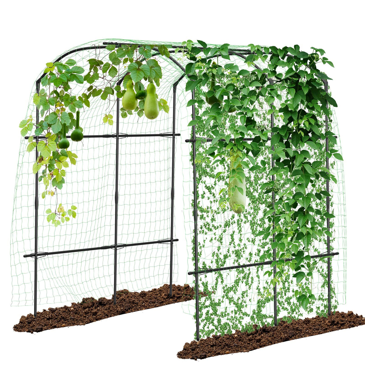 DoCred tall garden arch 87in front view showcases a sturdy entry for climbing plants.