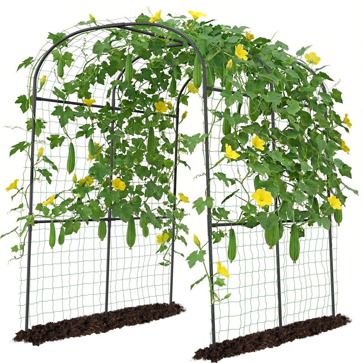 DoCred tall garden arch trellis front view showing welcoming garden entry