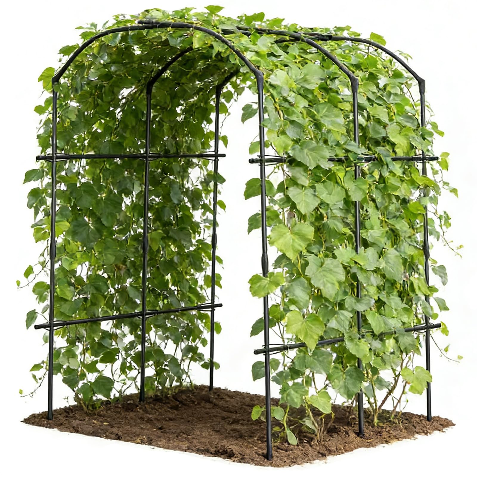 DoCred tall garden arch trellis with 87 inch height for a dramatic entryway.