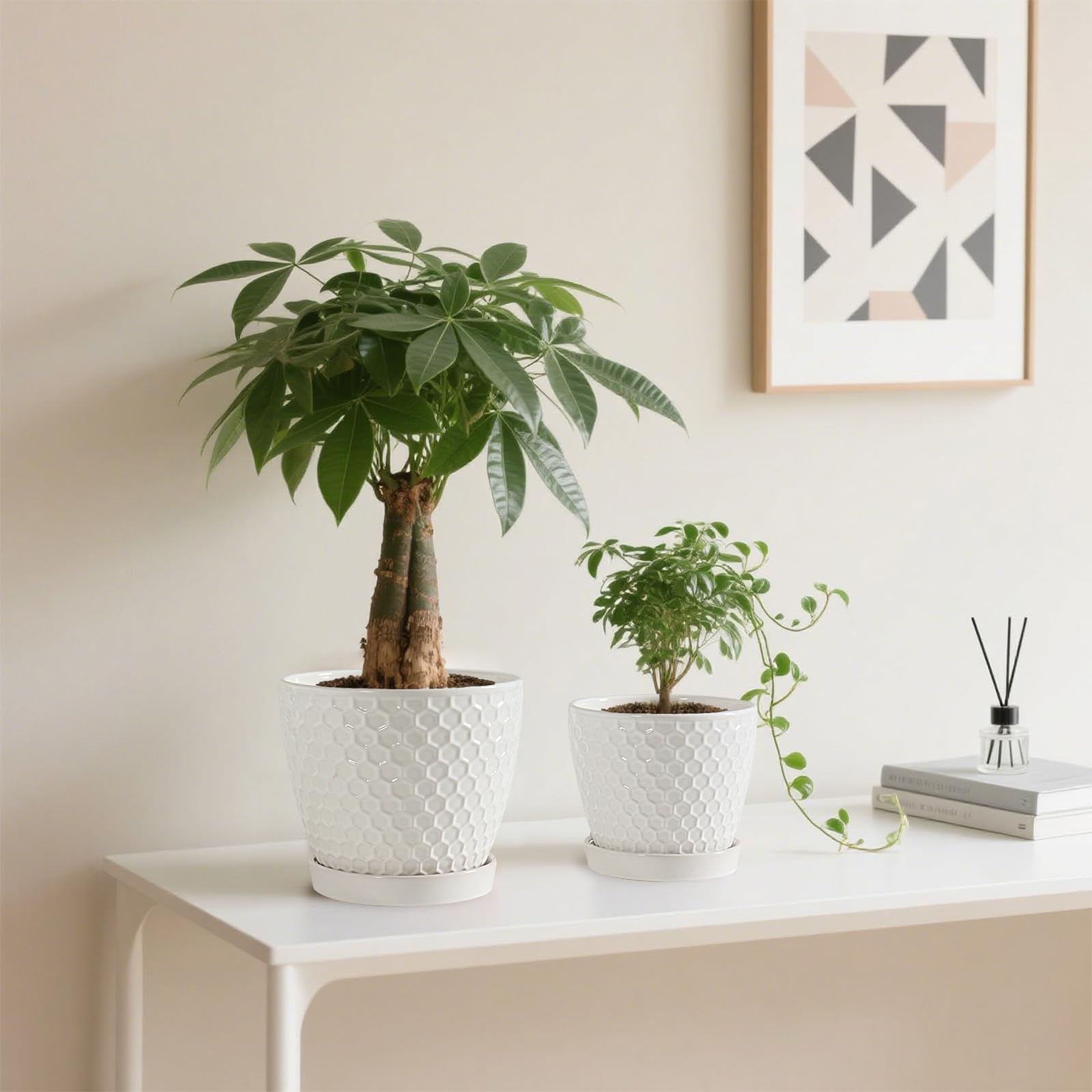 Docrin saucer; easy-to-clean surface keeps plant corners tidy.