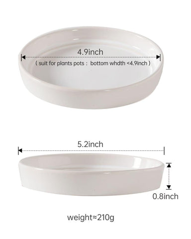 Docrin saucer top view; sleek white ceramic for clean, stylish plant displays.