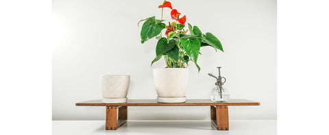 Docrin pot features anti-slip base to prevent skidding on surfaces.