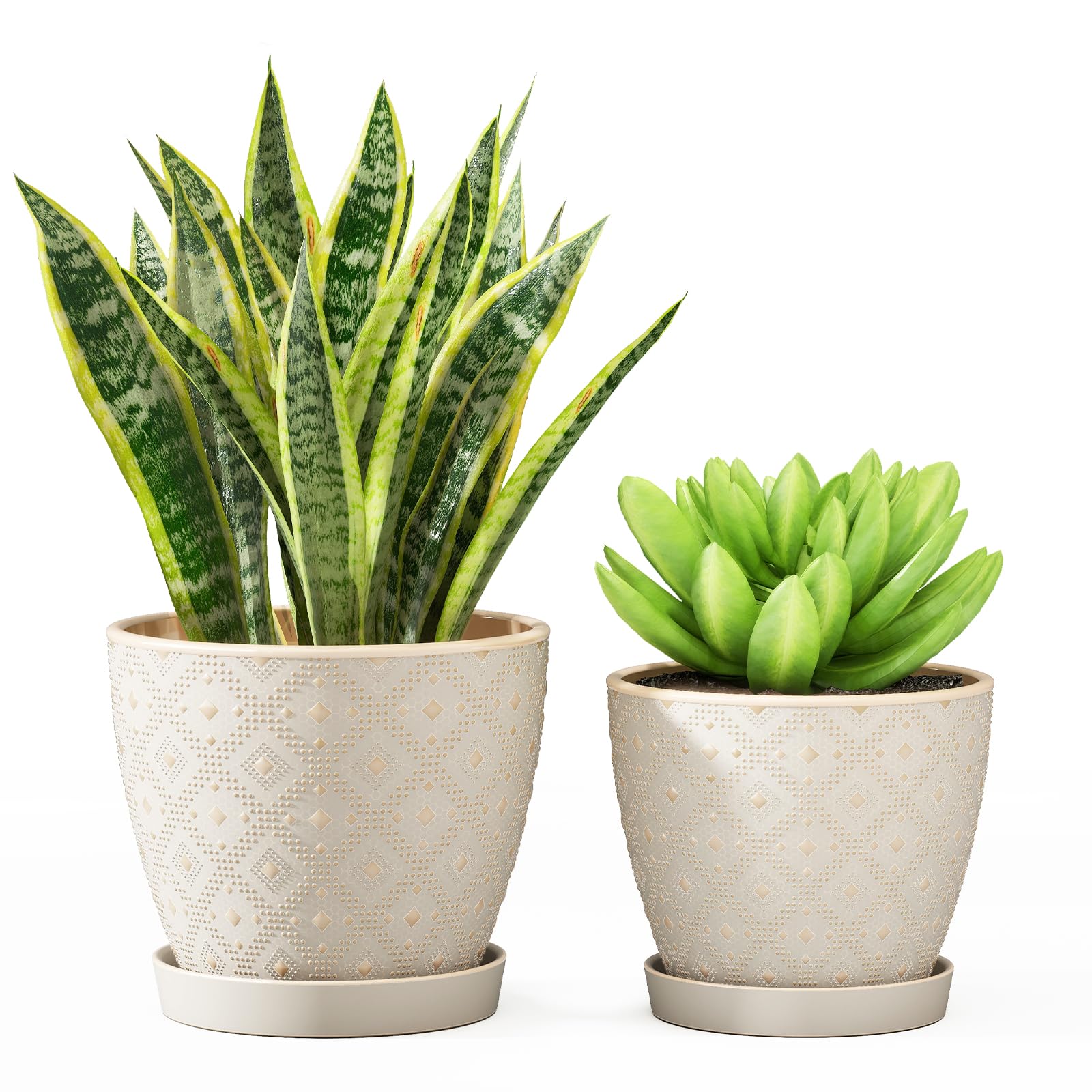 Docrin ceramic plant pot 6.6-inch white with drainage for healthy indoor plants.