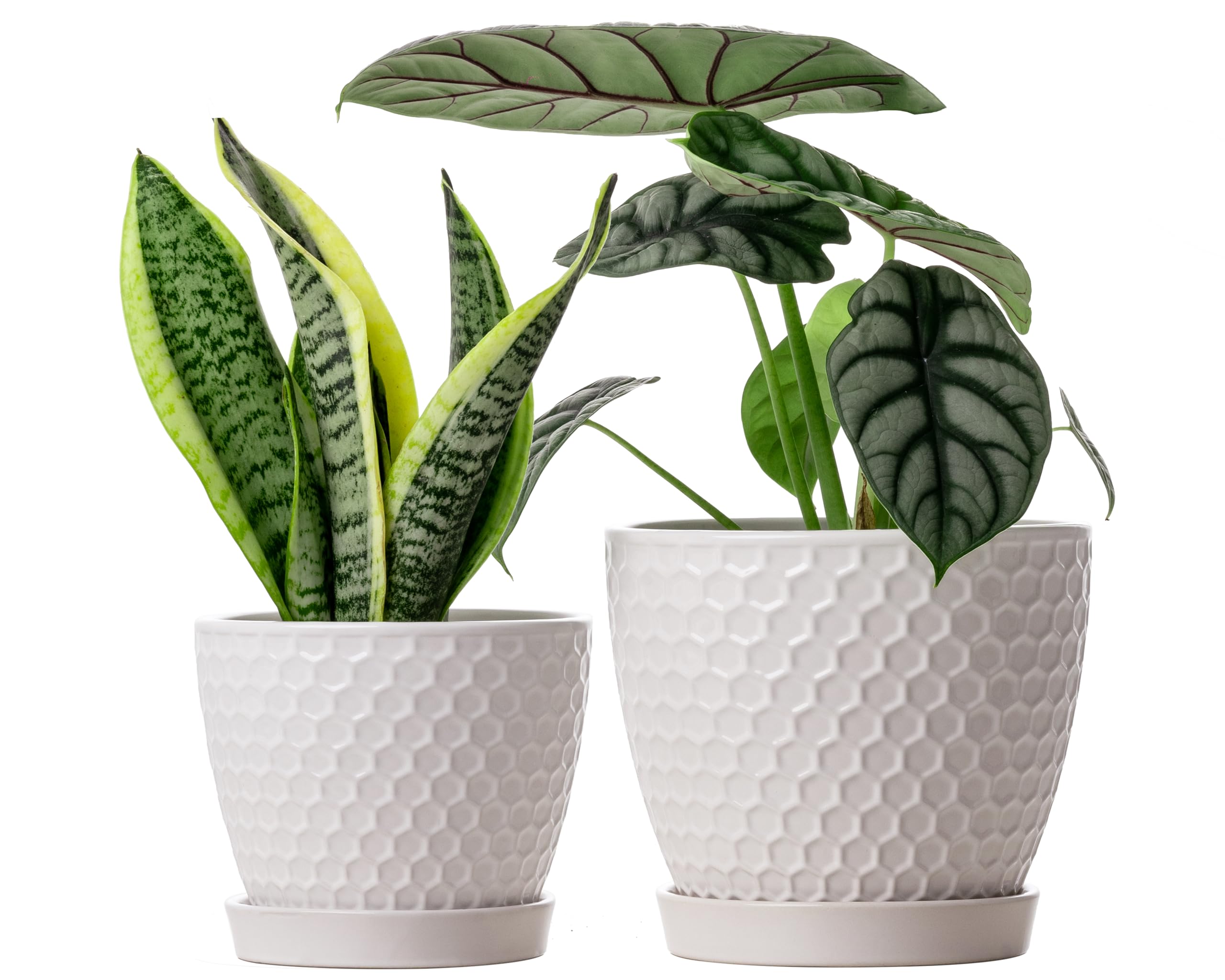 Docrin ceramic pots set of 6-6 and 5-5 inches with honeycomb texture for stylish indoor displays.