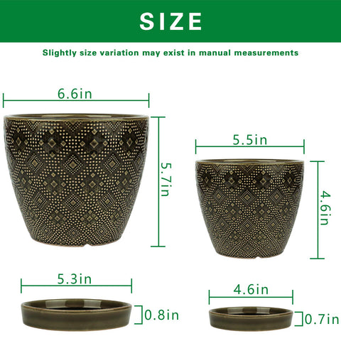 Docrin dark-green ceramic planter 5.5-inch ideal for herbs or succulents
