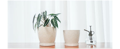 Docrin minimalist white pot complements modern and Nordic interiors.