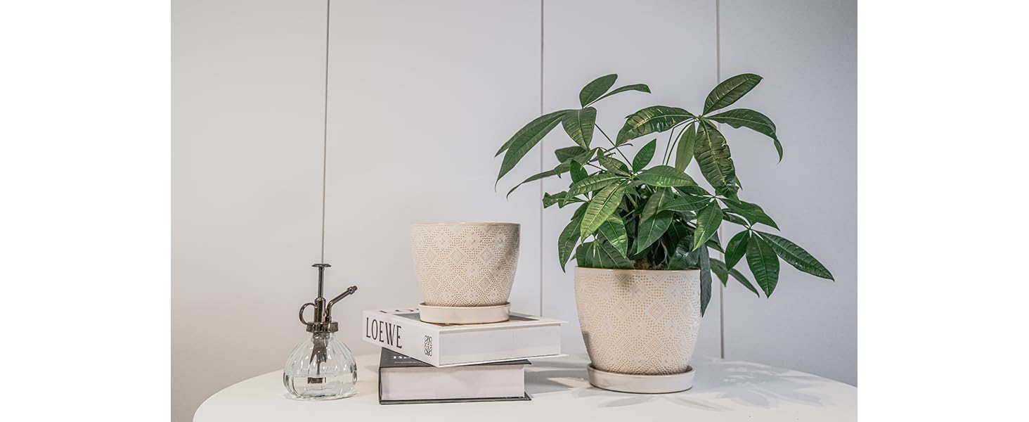 Docrin indoor planter enhances homes and offices with clean lines.