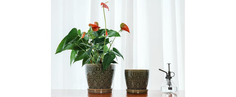 Docrin planter glaze highlights durability and easy cleaning