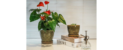 Docrin planter designed for both indoor and outdoor use