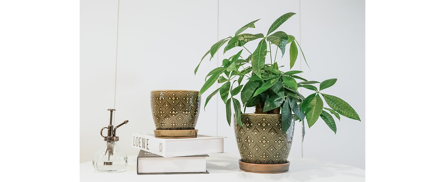 Docrin planters accent living rooms and offices with elegant decor