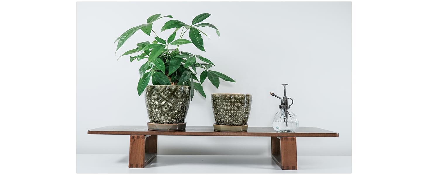 Docrin two-planter set with saucers ready for immediate display