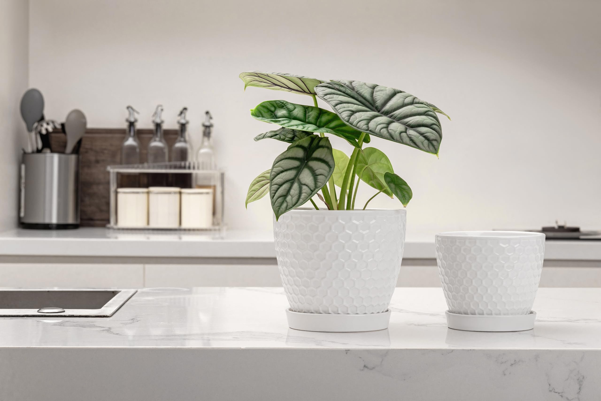 Docrin pots with saucers prevent water spills and protect surfaces.