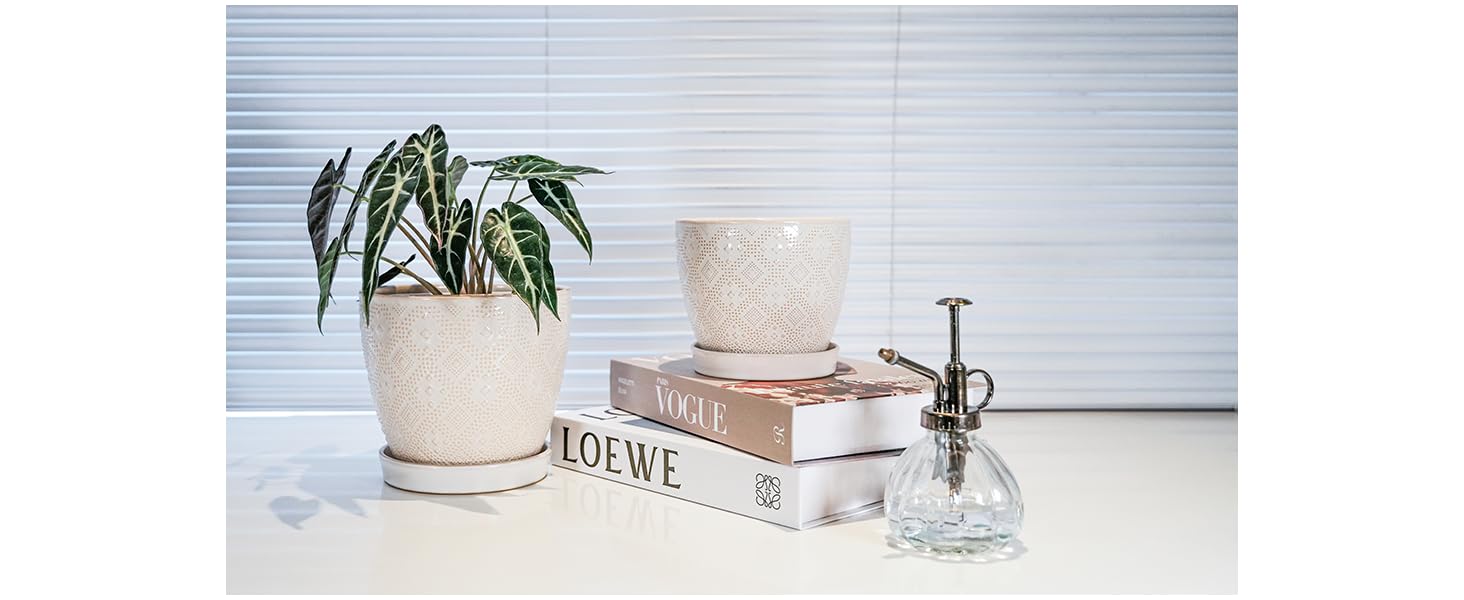 Docrin pot suited for windowsills, desks, shelves and living room corners.