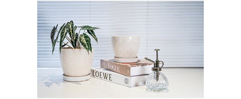 Docrin pot suited for windowsills, desks, shelves and living room corners.