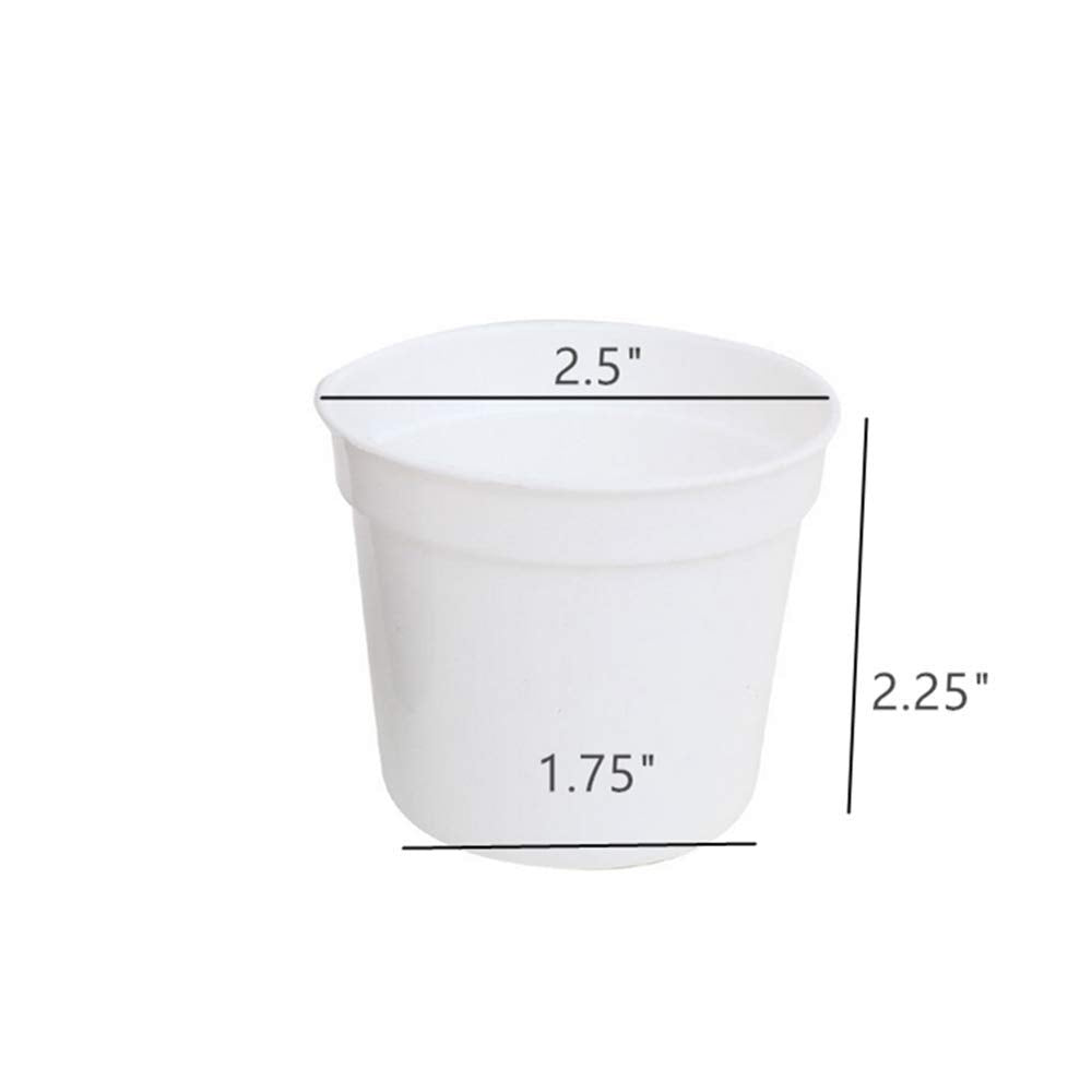 DODXIAOBEUL mini pot with saucer included prevents spills during watering.