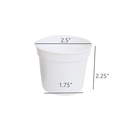 DODXIAOBEUL mini pot with saucer included prevents spills during watering.