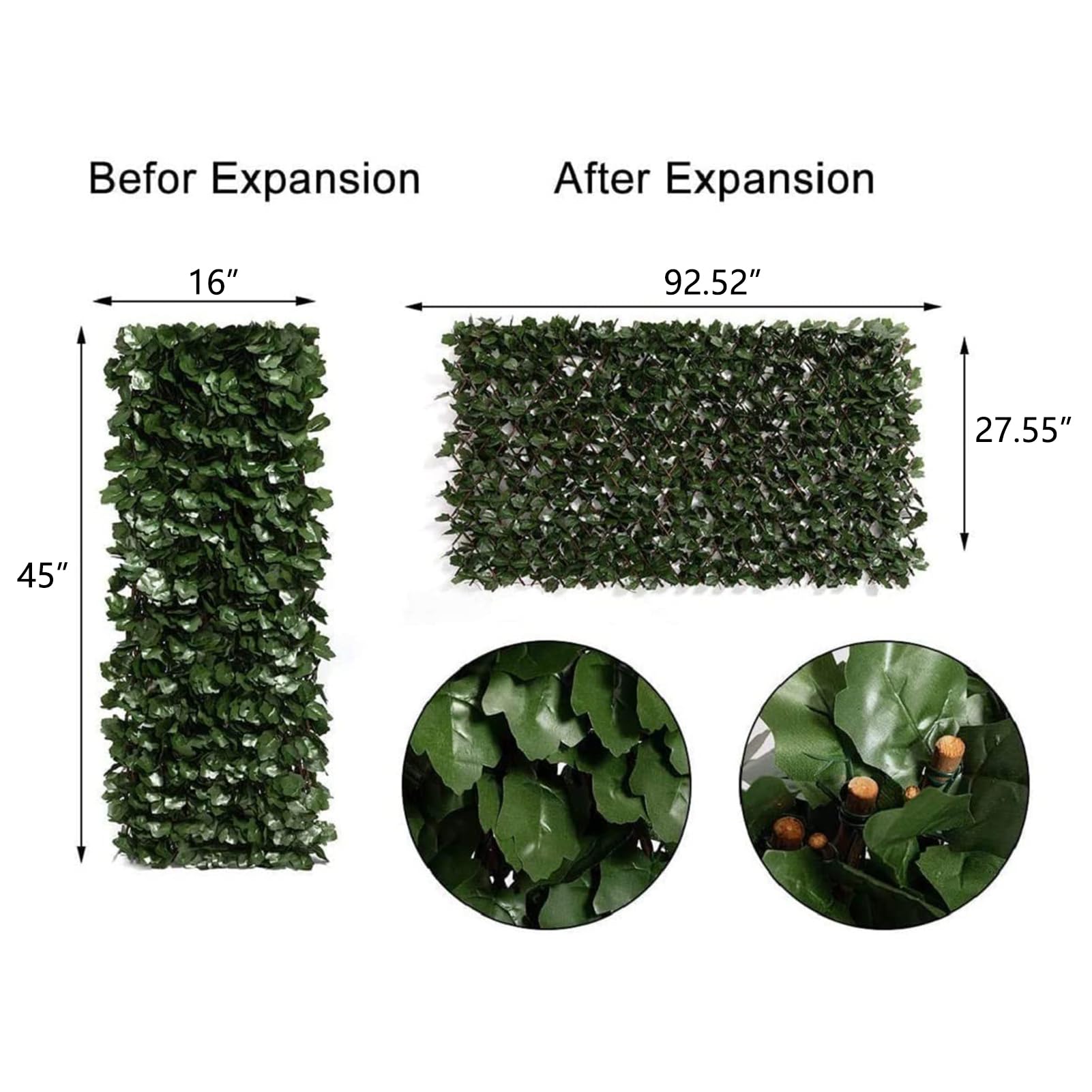 DOEWORKS ivy right panel showcases dense leaves for lush garden screening.