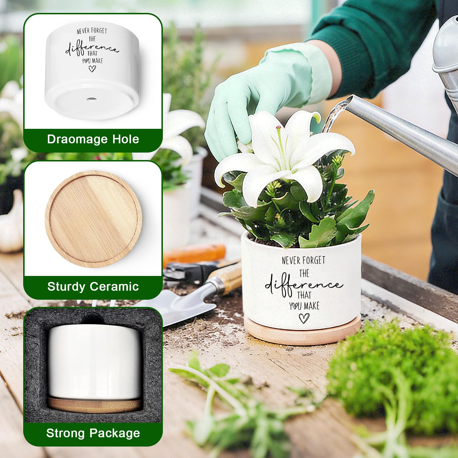 DOFAFALA built-in drainage-hole pot ensures healthy drainage indoors.