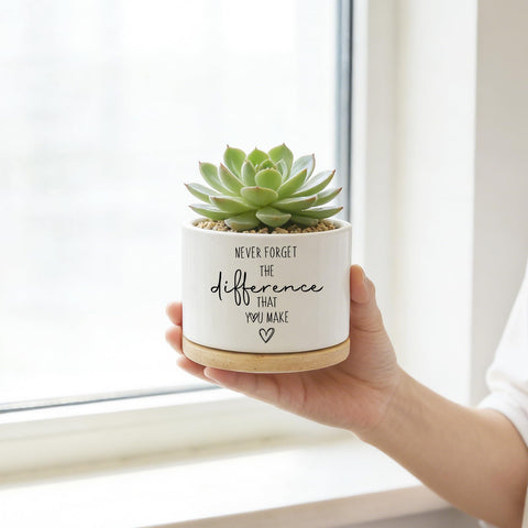 DOFAFALA charming miniature pot design brightens any space at home.