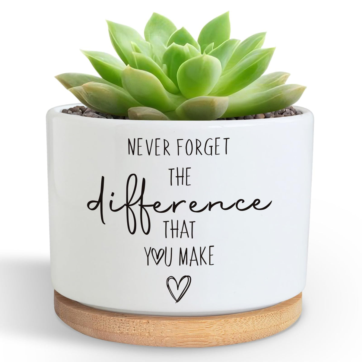 DOFAFALA funny planter ceramic succulent pot for desk decor and joy.