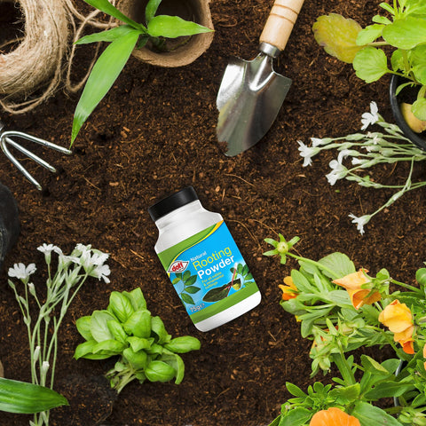 Doff Hormone Rooting Powder in a garden scene promoting successful propagation