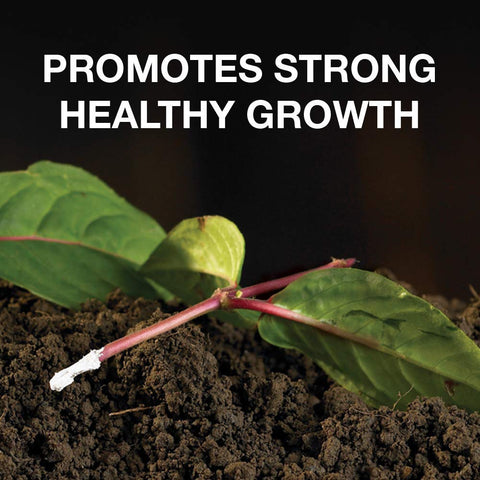 Doff Hormone Rooting Powder being applied to a cutting for stronger roots