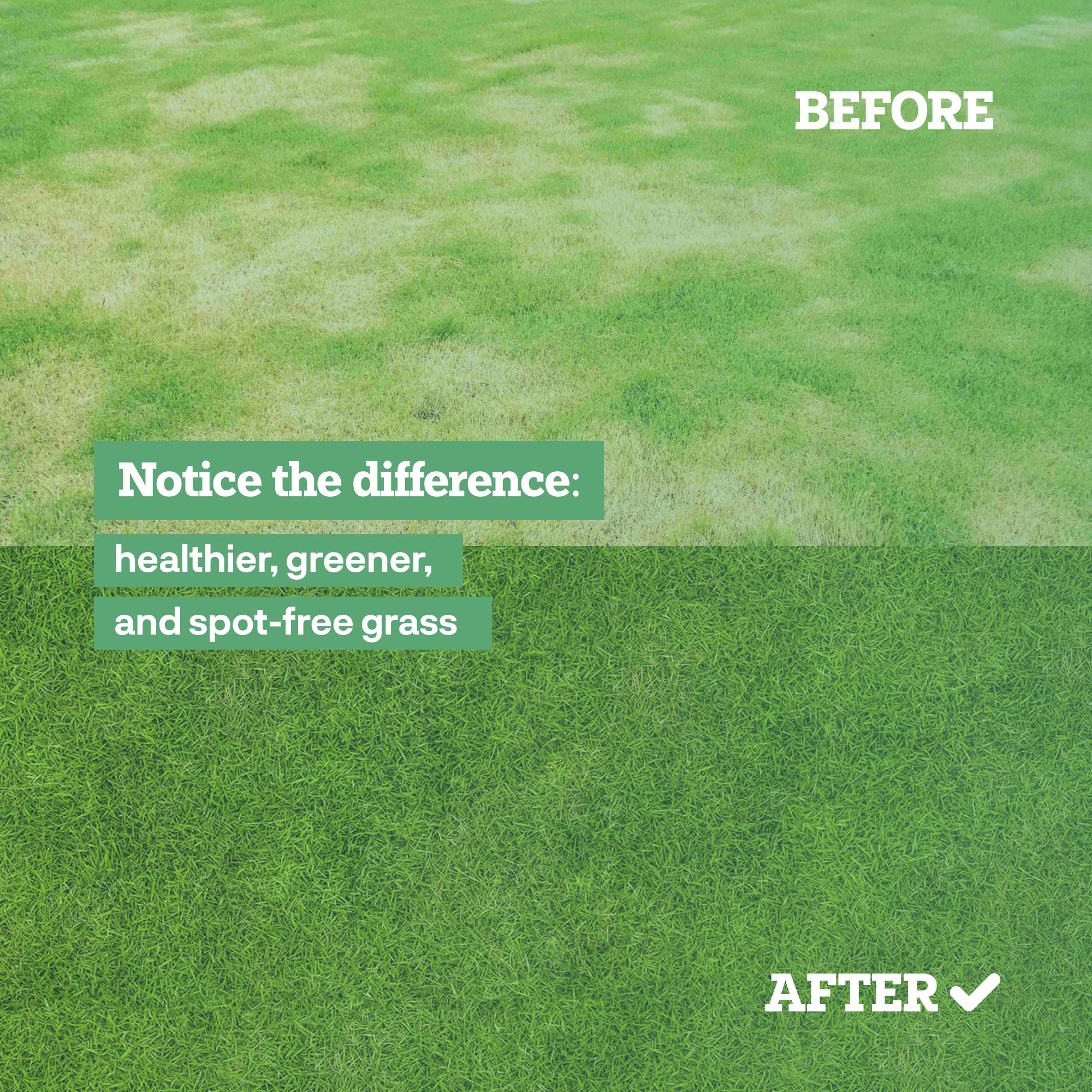 Lawn showing improved color and growth weeks after Dog Rocks use.