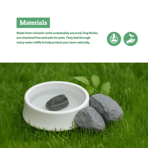 Healthy green lawn with reduced yellow spots after using Dog Rocks.