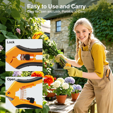 Doimeri two-pack pruning shears versatile for gardening tasks
