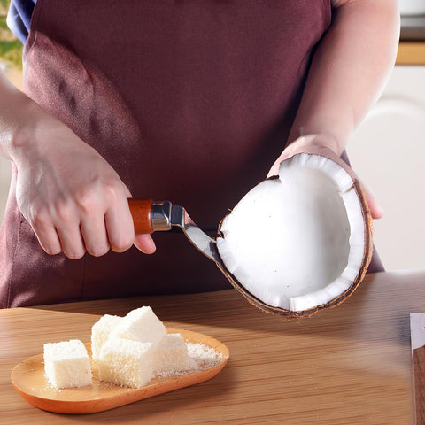DOITOOL coconut meat scraper in stainless steel blade for precise meat extraction.