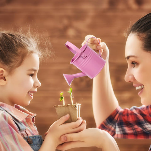 DOITOOL durable iron cans for home gardening, small-space use.