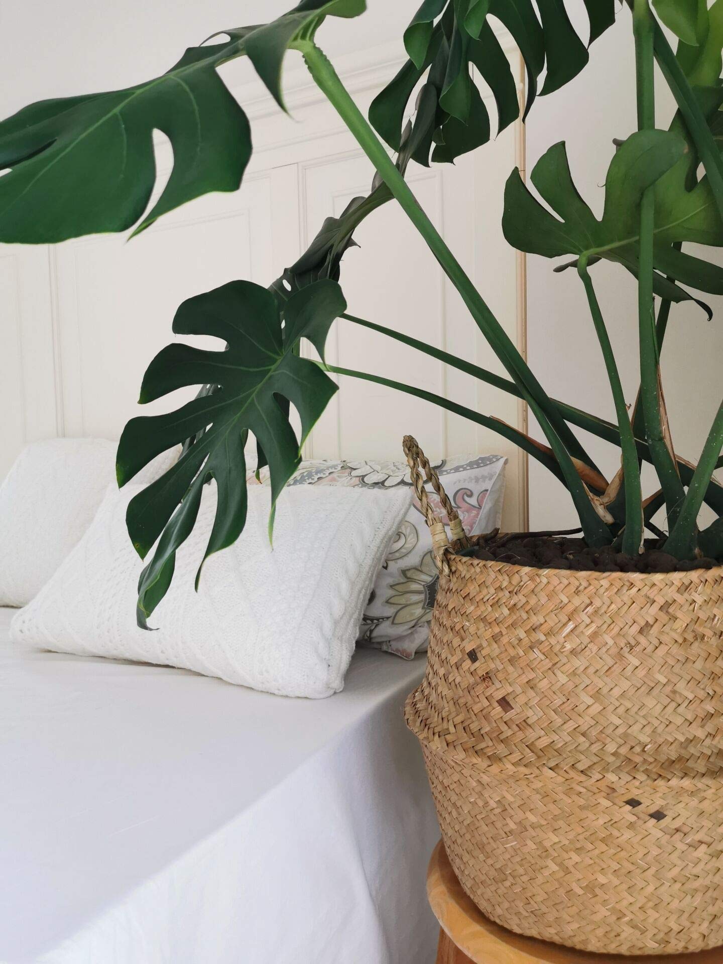 DOKOT foldable bowl-shaped seagrass basket for versatile storage
