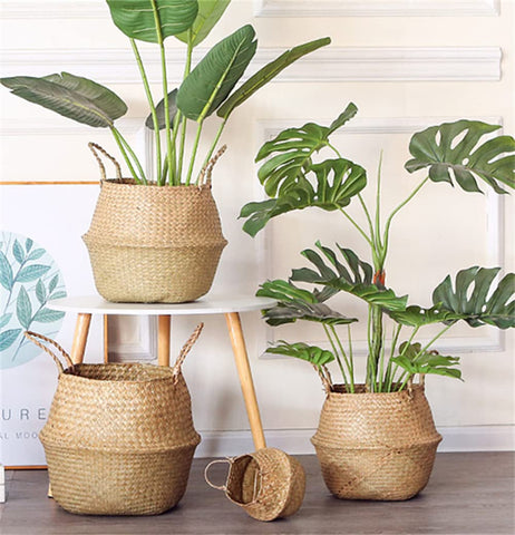 DOKOT plant basket used as plant pot in living room for chic decor