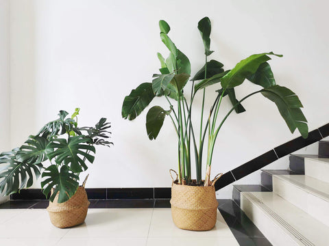 DOKOT seagrass basket shows natural woven texture and handcrafted charm