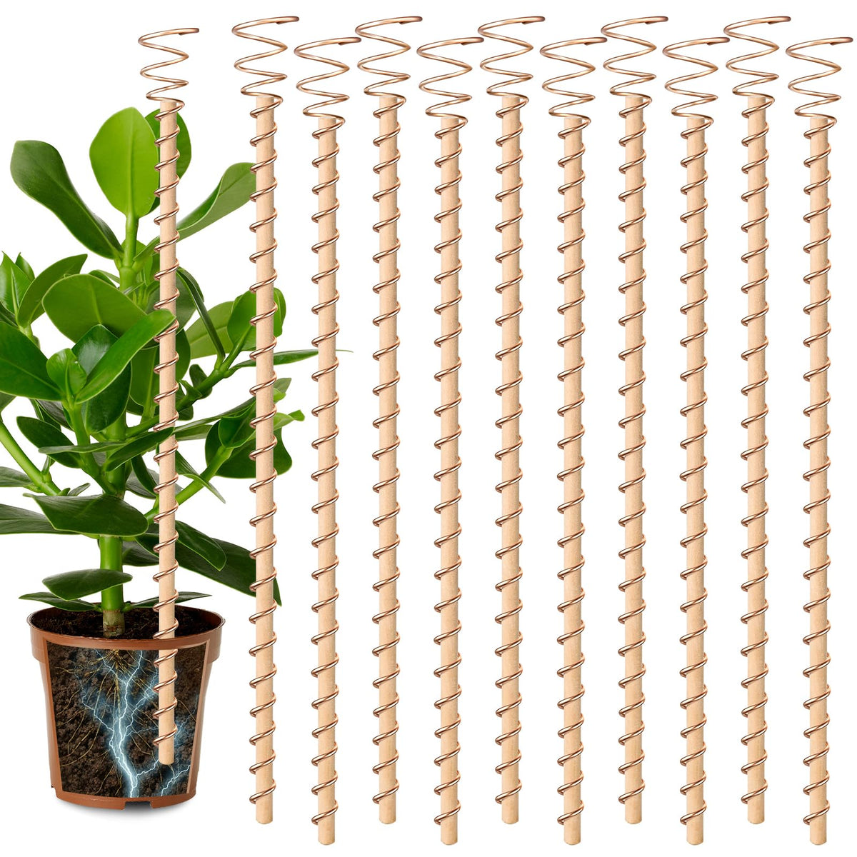 Doksving 17-inch copper coil electroculture antenna boosts garden growth.