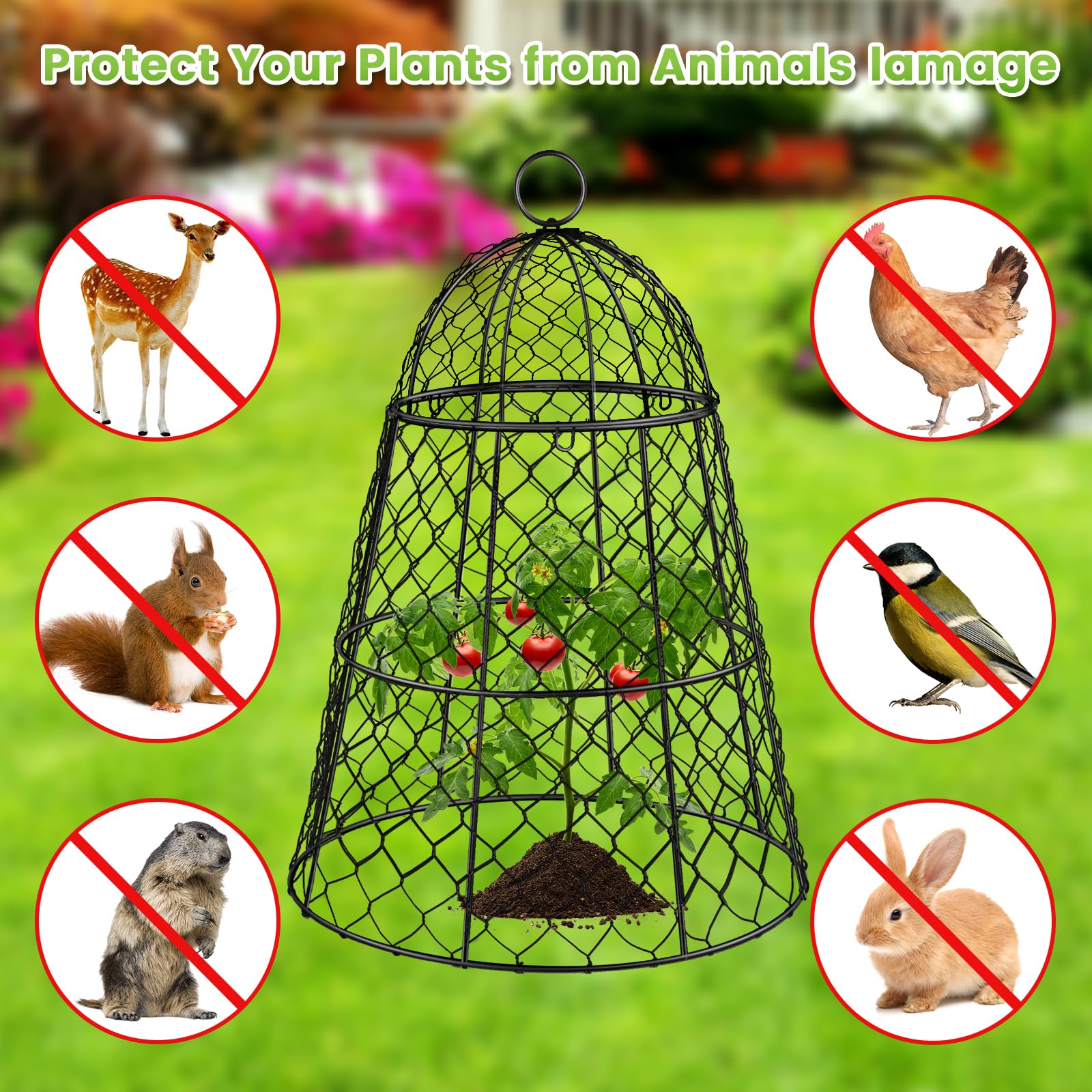 Doksving cloches with airflow holes providing light access while deterring pests