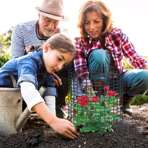 Doksving cloches protect plants while allowing air and sunlight