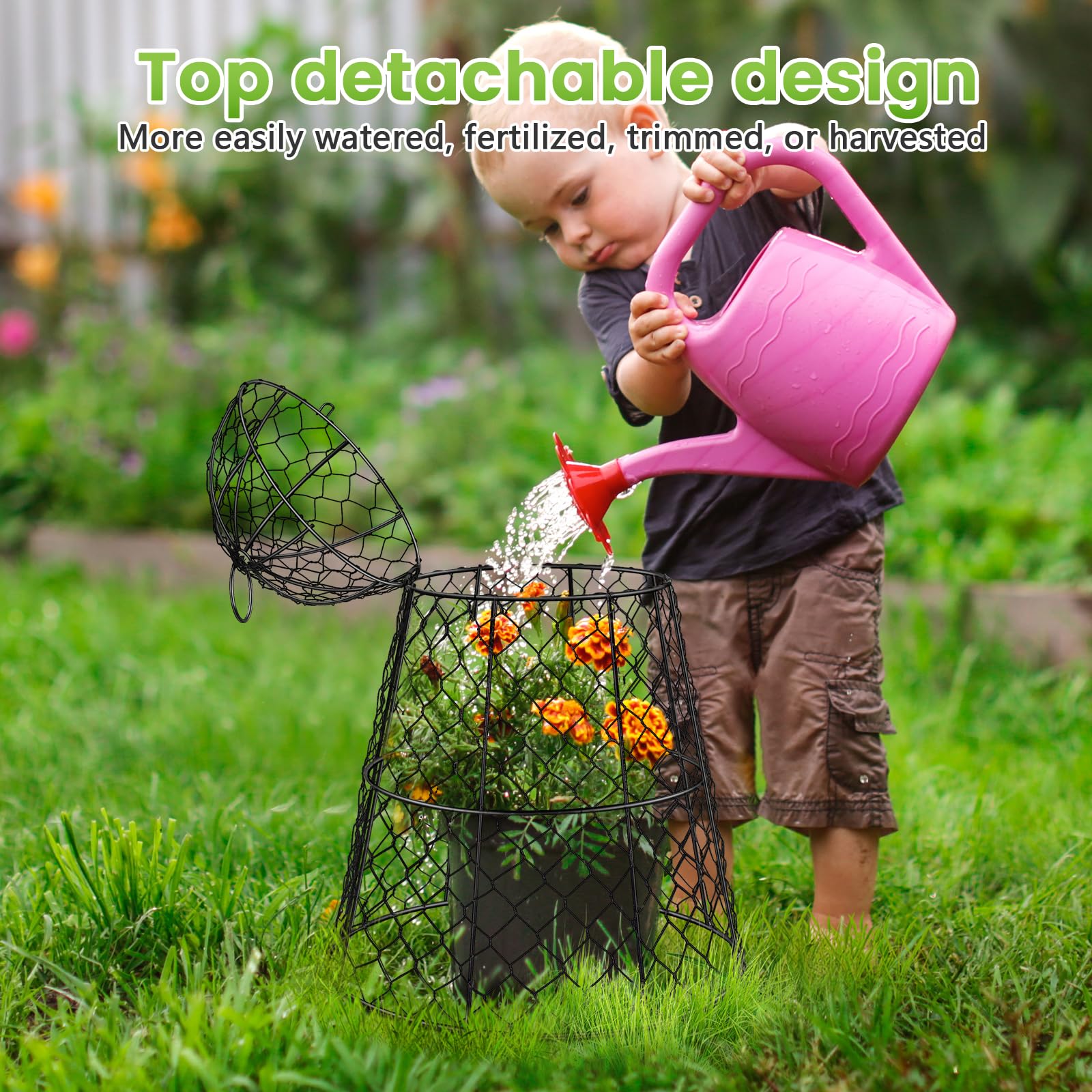 Doksving cloche placed over tomato plant in garden bed