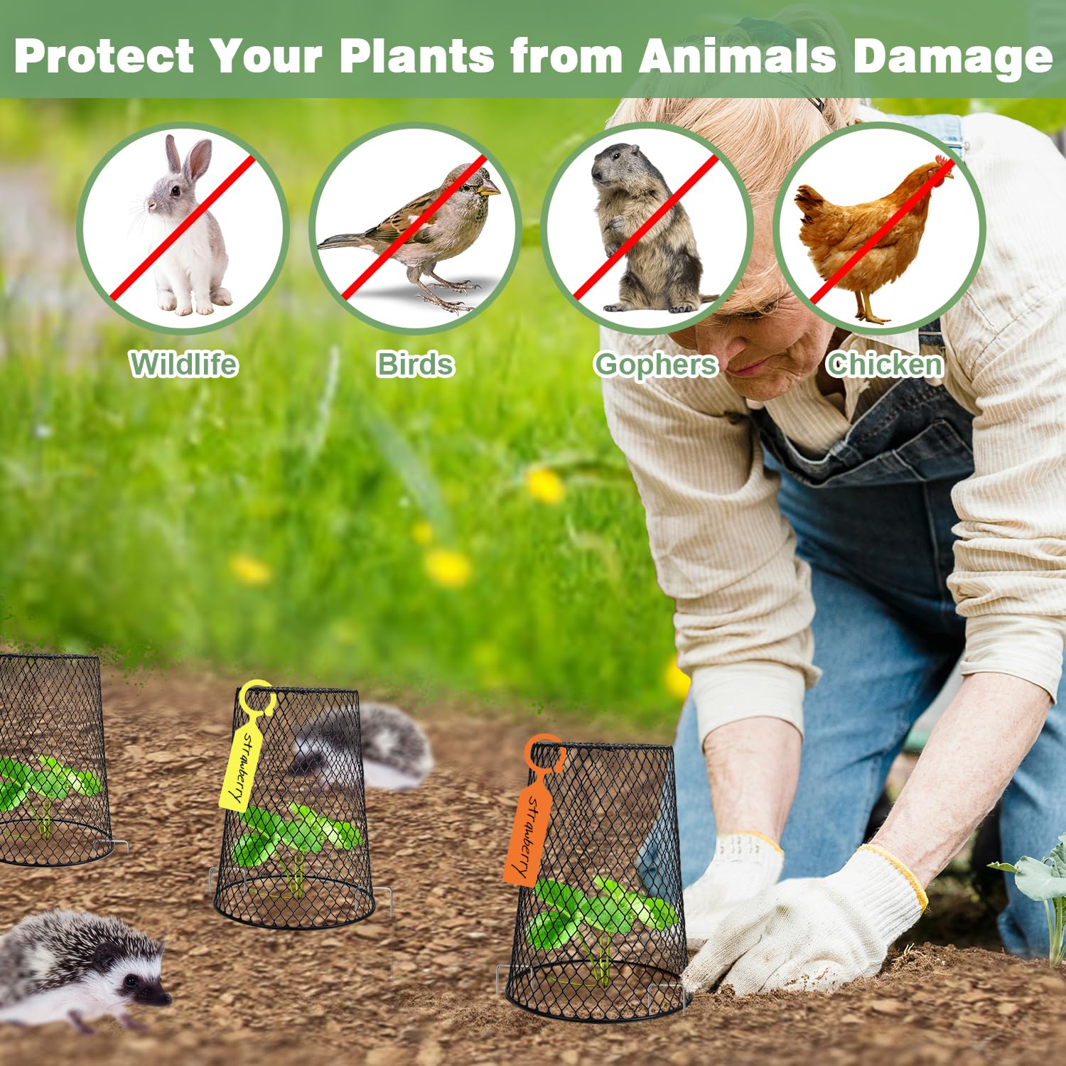 Doksving easy-setup stakes securely anchor the protectors to the ground.