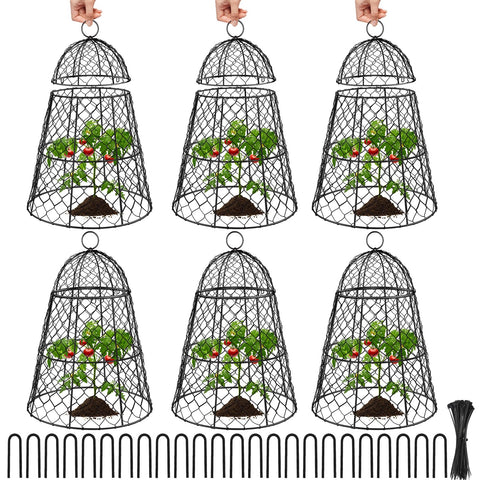 Doksving garden cloches six-pack protecting seedlings from animals
