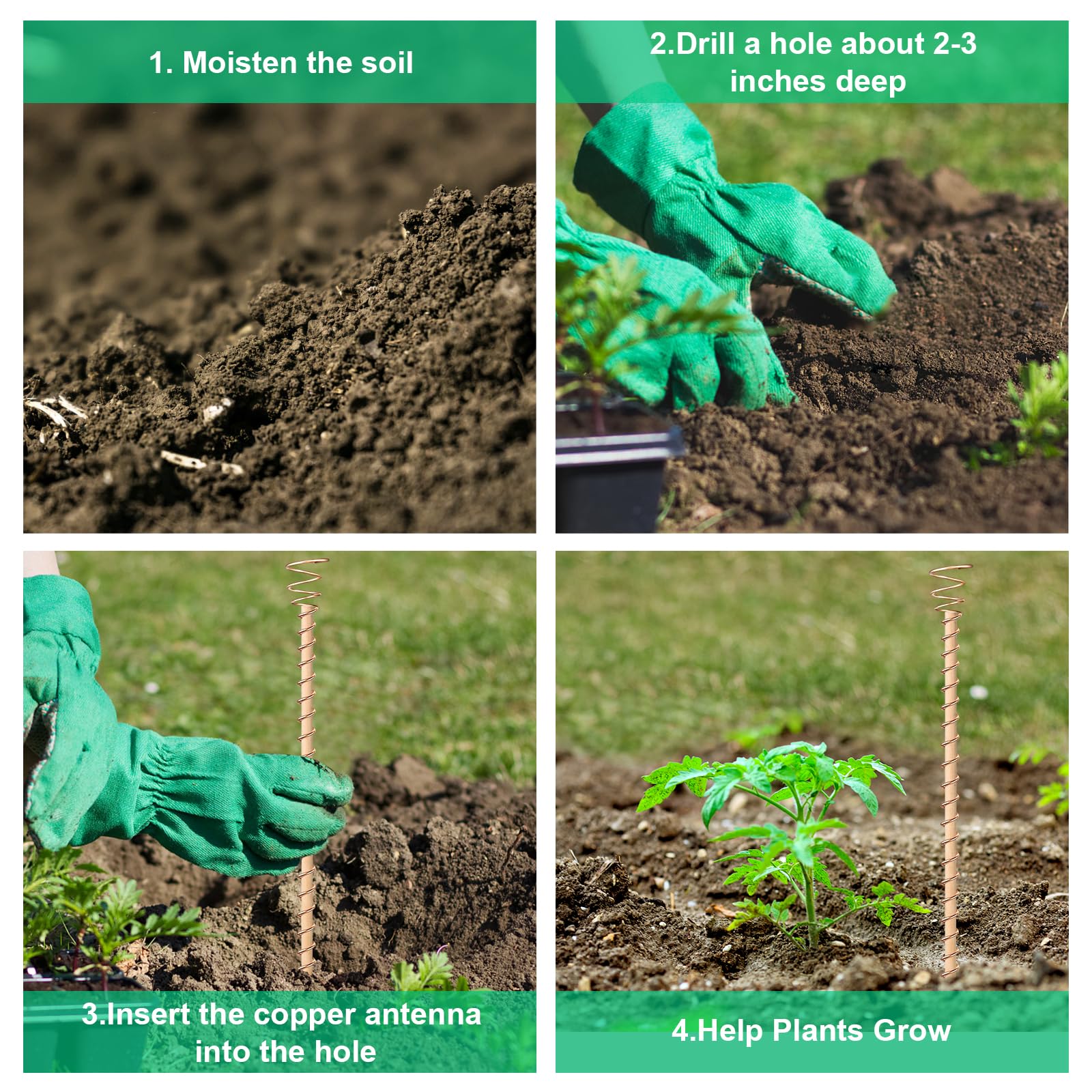 Doksving installation in soil near a plant to support growth