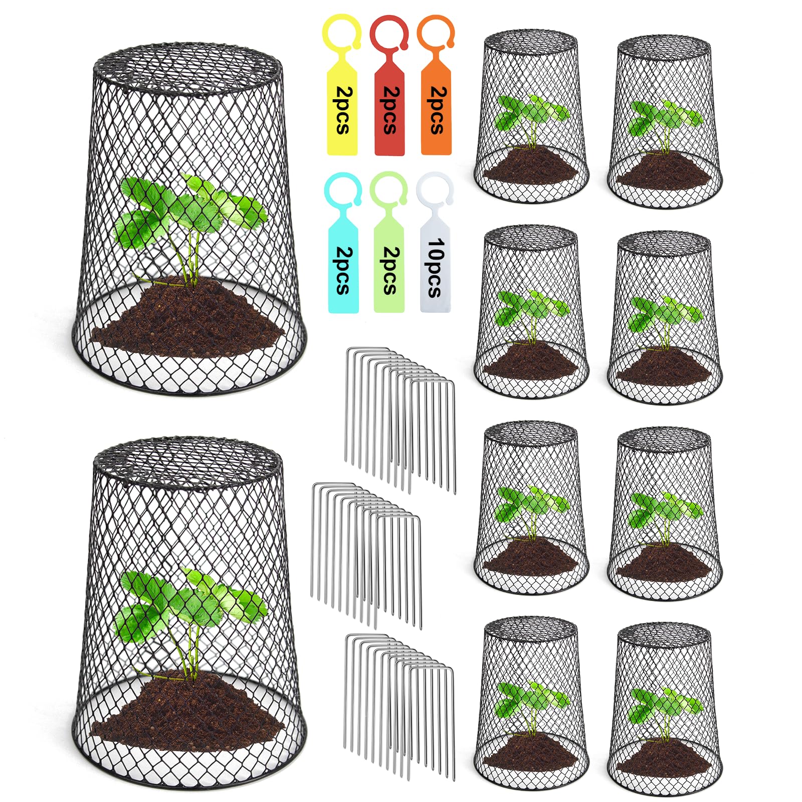 Doksving seedling protectors in place, guarding young plants while allowing air flow.