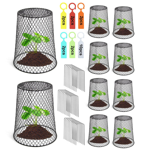 Doksving seedling protectors in place, guarding young plants while allowing air flow.
