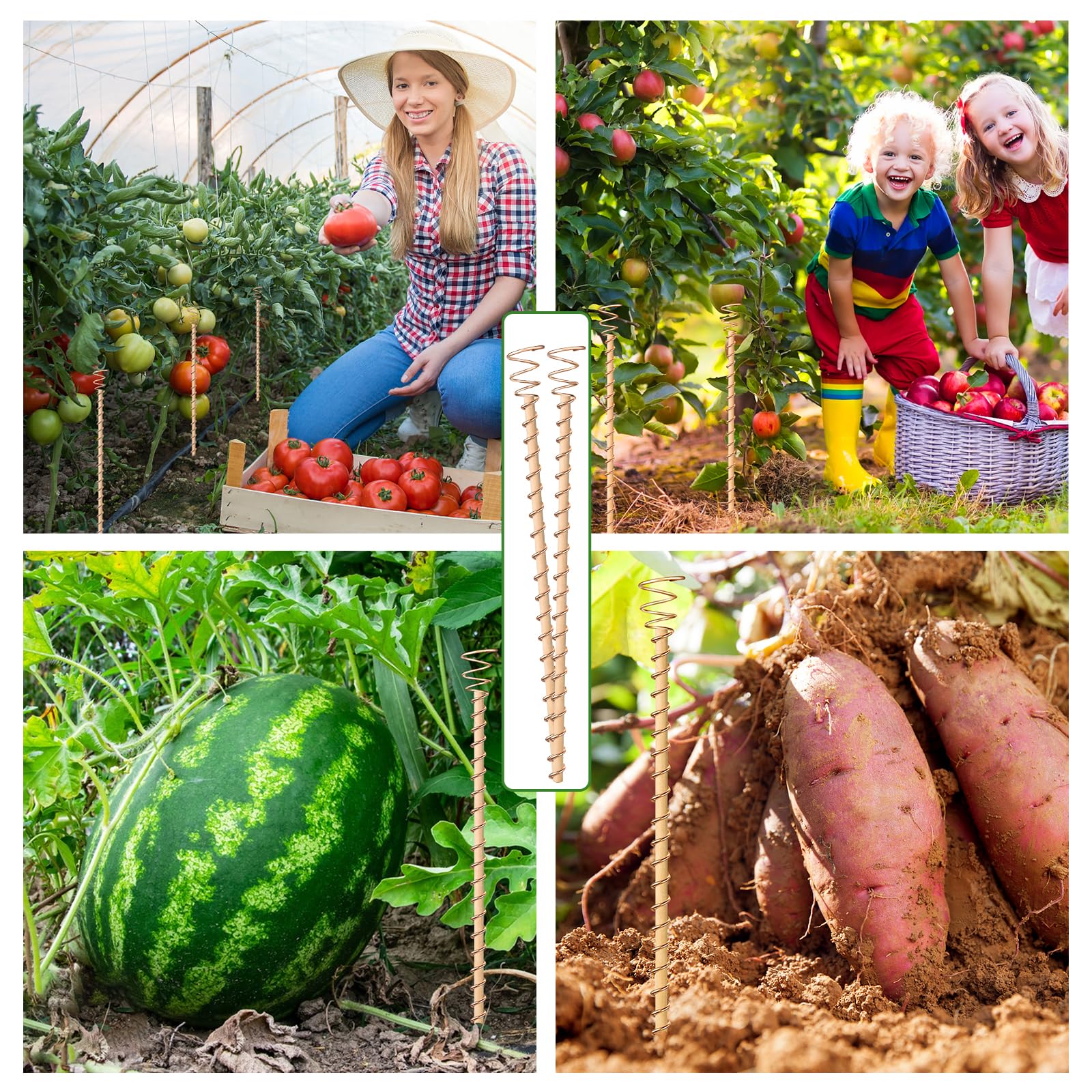 Doksving garden scene illustrating potential growth for vegetables