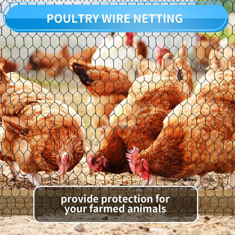 DOLEMODUO versatile mesh for farms, gardens, floral displays, and DIY projects.