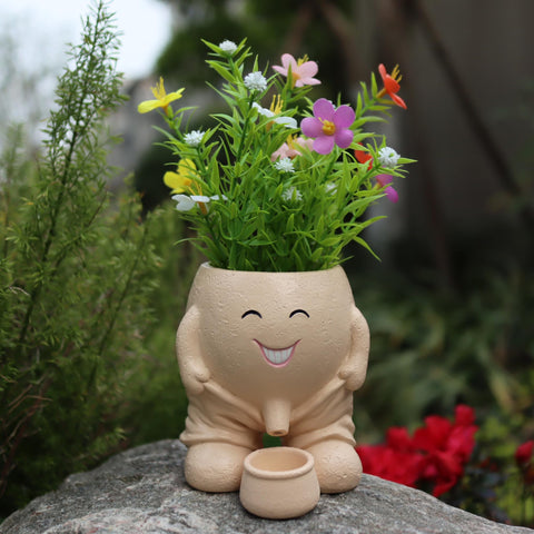Dolkgy cute head planter on a windowsill adds playful indoor decor.